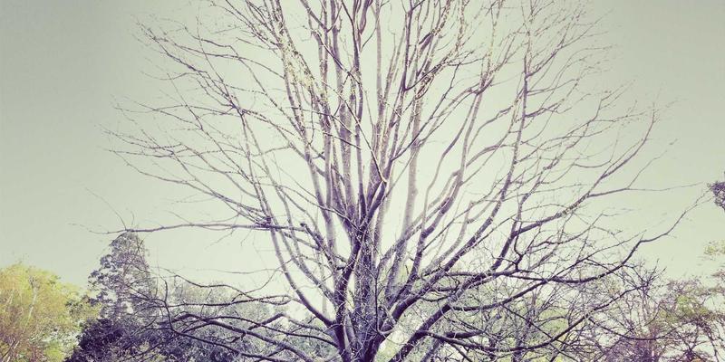 PR服务与品牌营销：公关传播的核心策略与实战指南