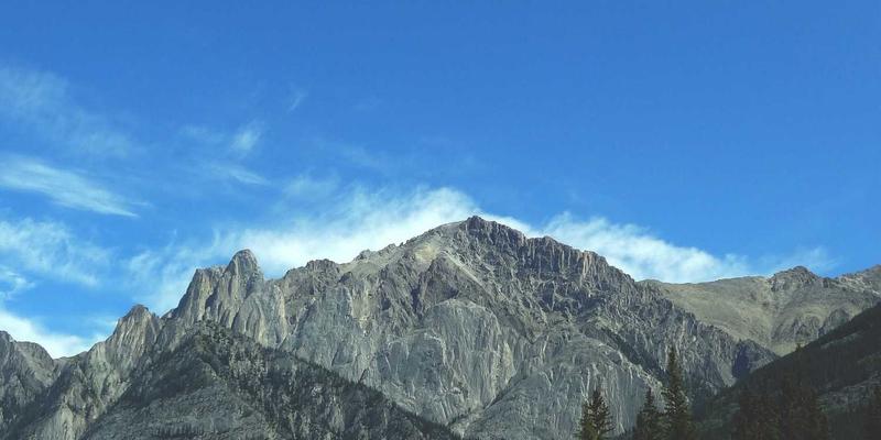 公关传播56:数字化时代的品牌策略与营销整合新范式