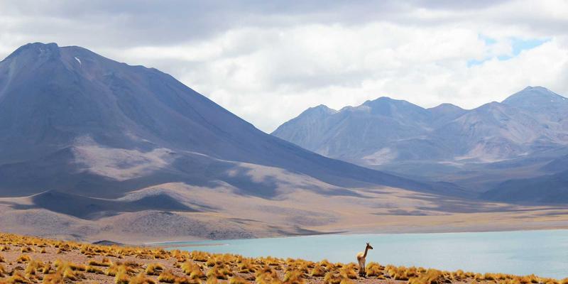 公关传播99:融合未来主义营销的PR服务新范式