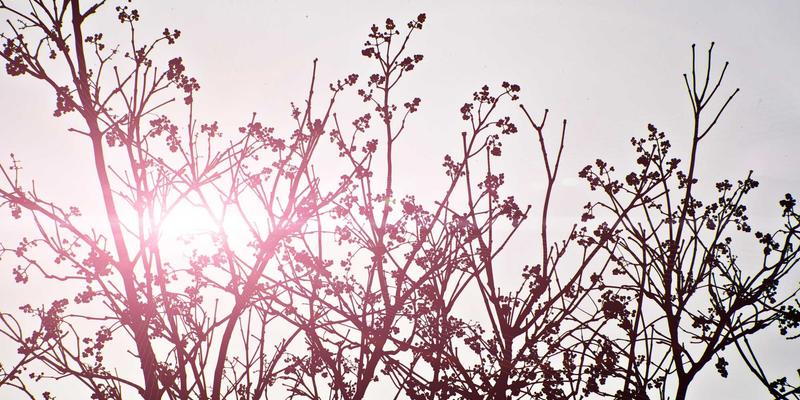 公关传播如何赋能品牌营销:策略、服务与实战指南