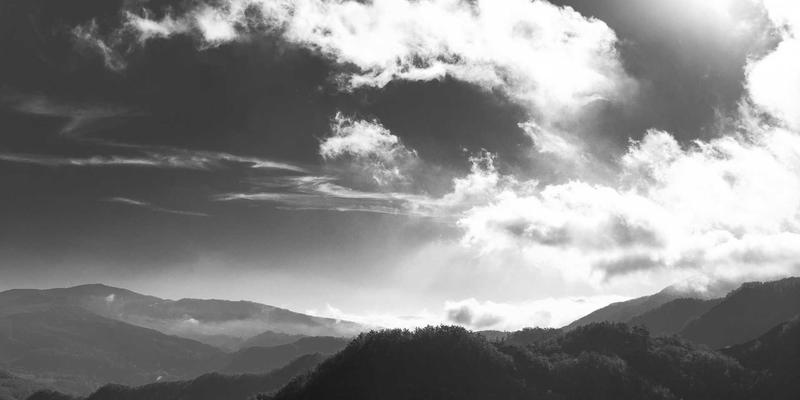 危机公关中的声誉修复：社交媒体时代的品牌自救与未来主义营销策略