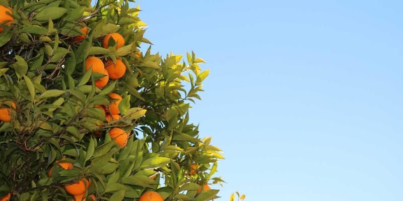 品牌策略升级：数字公关与广告如何协同增效，实现整合营销传播