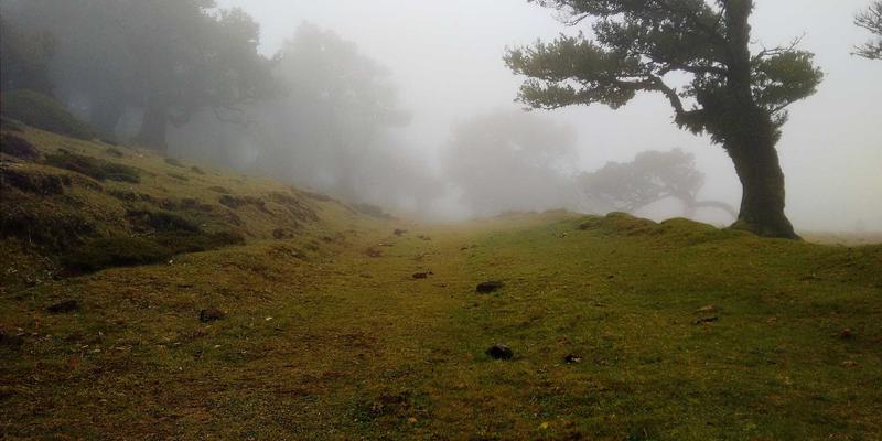 数字公关新范式：如何用视觉叙事与未来主义营销重塑公关传播