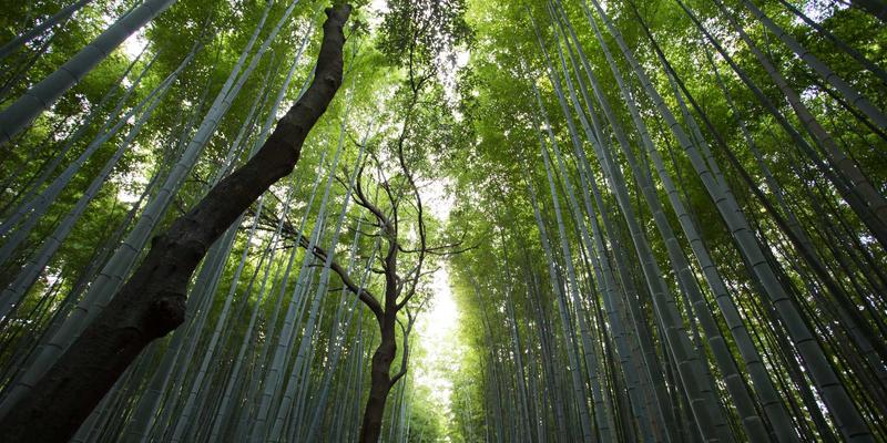 数字公关重塑品牌策略：公关传播72的实战指南