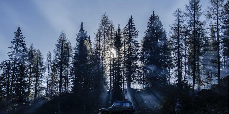 数字时代的企业影响力：如何通过品牌策略与公关塑造政策与公众舆论