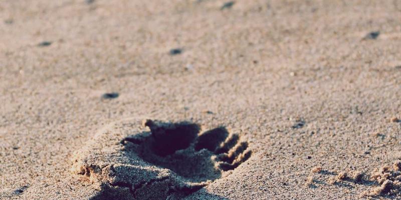 未来主义营销与数字公关：ESG浪潮下如何构建可量化、可传播的品牌叙事