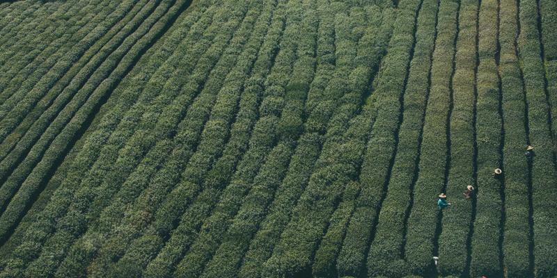 未来主义营销赋能非营利组织：PR服务如何通过情感化公关传播提升公众参与度