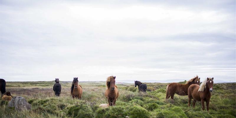 未来主义营销：重塑公关传播的边界与PR服务的未来形态